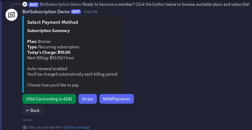 Discord payment bot checkout summary showing plan details, price, and payment options