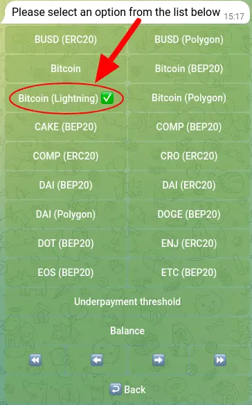 Screenshot displaying the installation process of the Lightning Network on CryptoNoKYC.